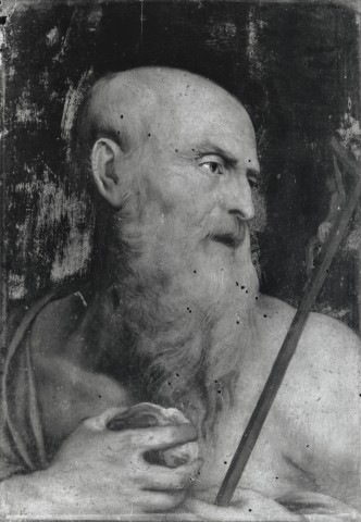 FONDAZIONE ZERI CATALOGO Anonimo lombardo sec. XVI, San Girolamo