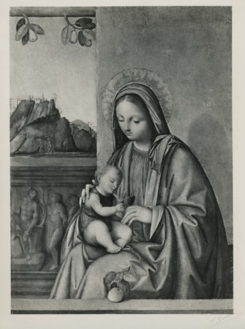 FONDAZIONE ZERI CATALOGO Giovanni Agostino da Lodi, Madonna con Bambino