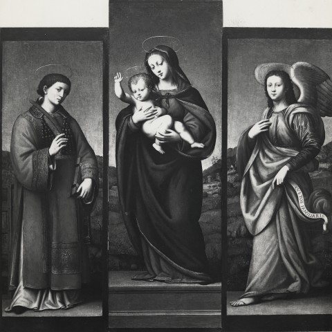 FONDAZIONE ZERI CATALOGO Antonio del Ceraiolo, Madonna con Bambino