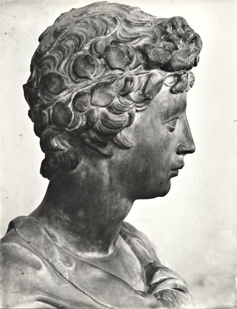 essay on donatellos david When we think of the most famous statue in the world, we are most likely to recall the figure of david large figure sculpture was an important element in renaissance. essay on donatellos david When we think of the most famous statue in the world, we are most likely to recall the figure of david large figure sculpture was an important element in renaissance.