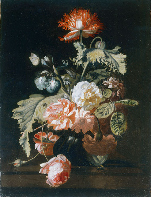 FONDAZIONE ZERI | CATALOGO : Anonimo fiammingo-olandese sec. XVII/ XVIII,  Natura morta con vaso di fiori