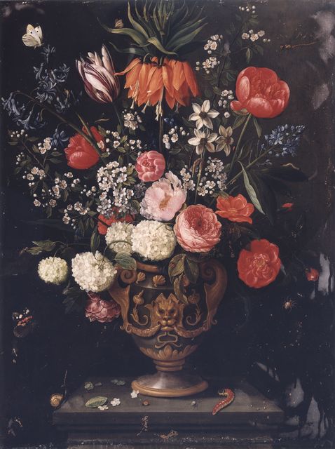 FONDAZIONE ZERI | CATALOGO : Kessel Jan van I, Natura morta con vaso di  fiori e insetti