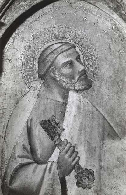 FONDAZIONE ZERI CATALOGO Pietro di Giovanni, Madonna con Bambino