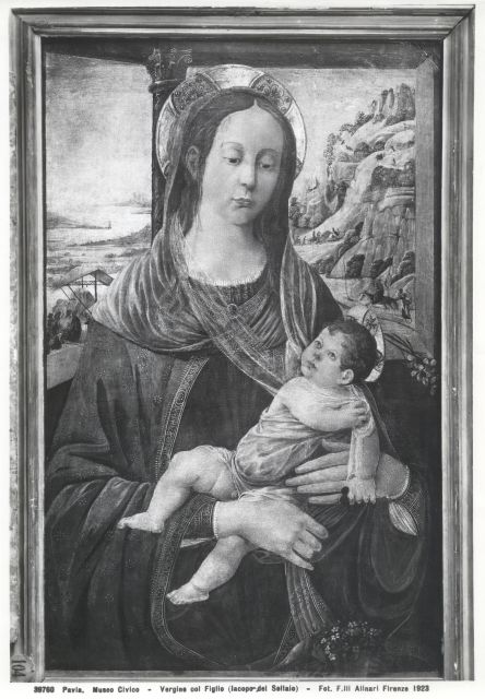 FONDAZIONE ZERI | CATALOGO : Jacopo di Arcangelo, Madonna con Bambino