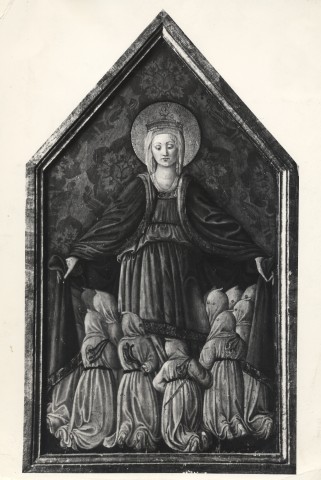 FONDAZIONE ZERI CATALOGO Maestro di Pratovecchio, Madonna della