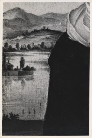 FONDAZIONE ZERI CATALOGO Veneziano, Ritratto di