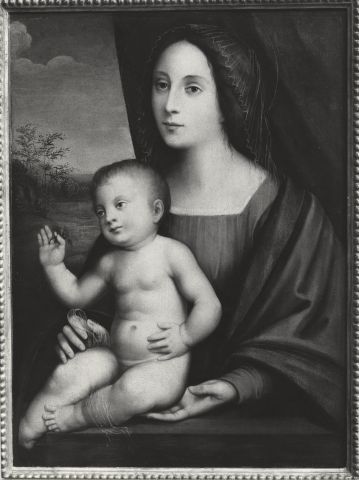 FONDAZIONE ZERI CATALOGO Raibolini Raibolini Giulio