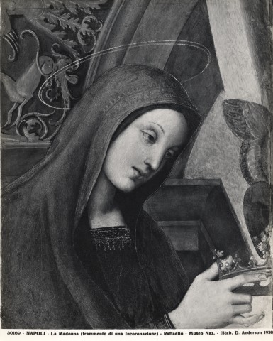 FONDAZIONE ZERI CATALOGO Sanzio Raffaello/ Evangelista di Pian di