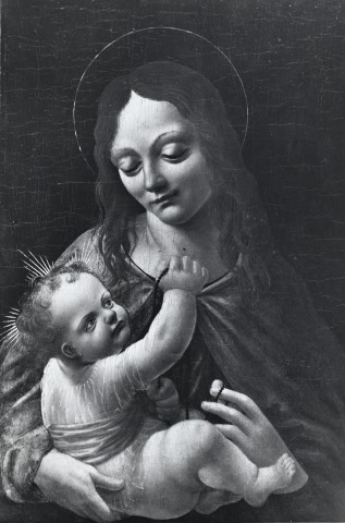 FONDAZIONE ZERI CATALOGO Maestro della pala Sforzesca, Madonna con