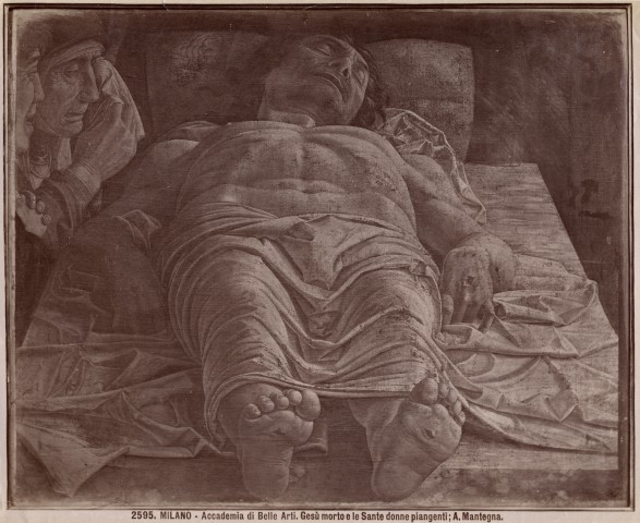 FONDAZIONE ZERI | CATALOGO : Mantegna Andrea, Cristo morto